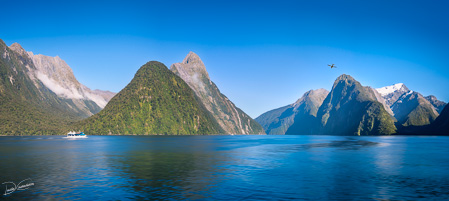 A small boat in the morning at Milford Sound