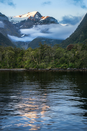 Sunset in beautiful Harrison Cove at Milford Sound