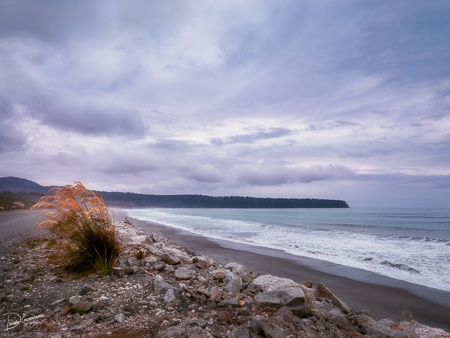 Windswept beach at Bruce Bay at sunset in New Zealand
