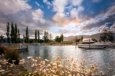 Idyllic Landscape with daisies in the foreground at Te Anau Boating Club, New Zealand