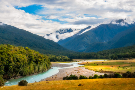 Amazing close up view at Cameron Flat on Haast Highway in NZ
