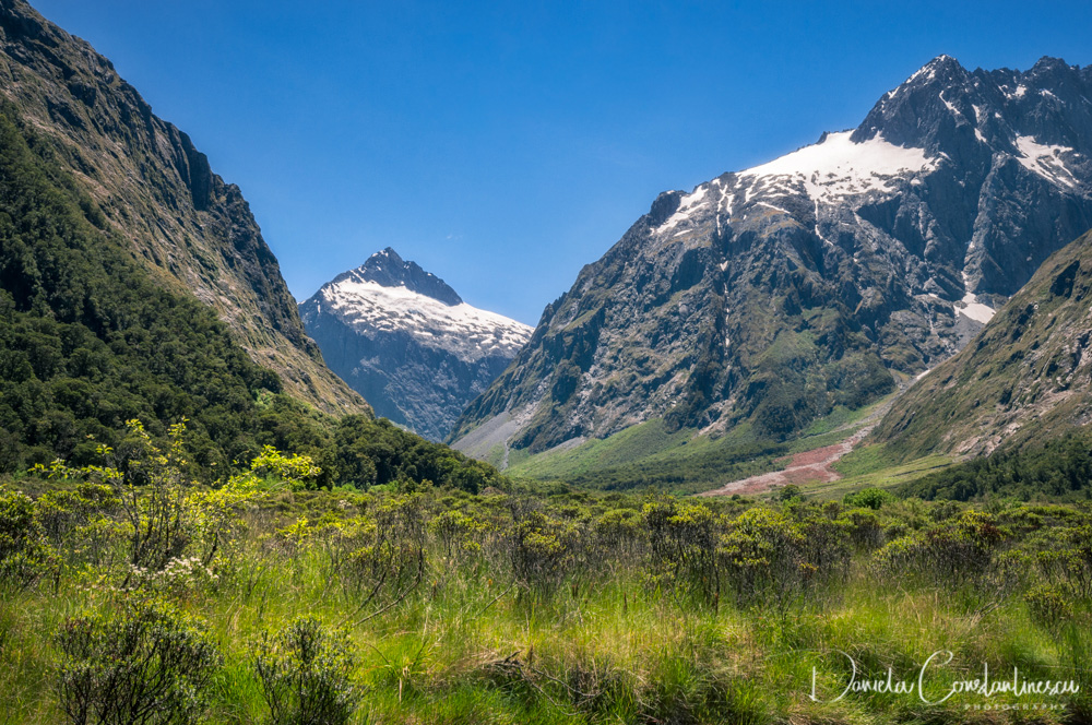 Daniela Constantinescu Photography - New Zealand Glaciers and Fjords