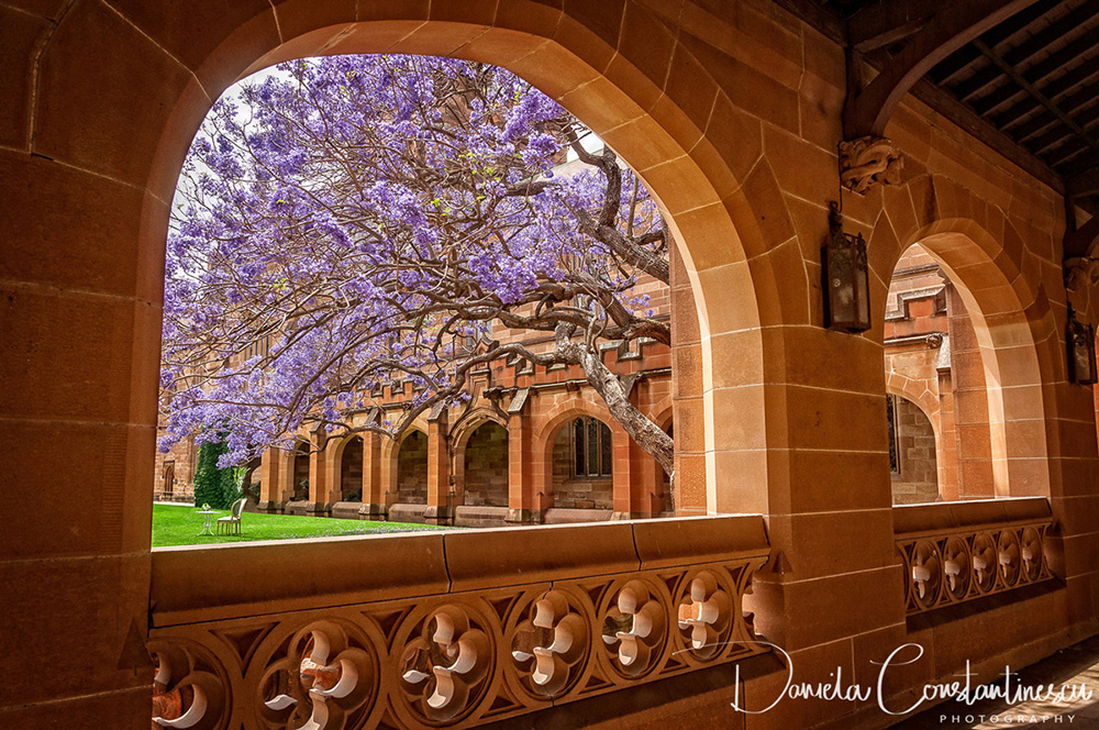 Sydney University 2015-Through Passageway