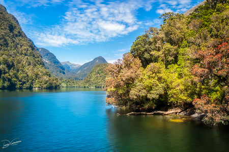 Untouched natural beauty at Doubtful Sound in New Zealand.