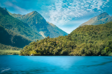 Idyllic view looking like a 'fantasy land' at Doubtful Sound in New Zealand