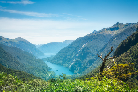 Spectacular Doubtful Sound View Point in New Zealand