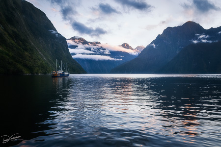 Milford Sound over night cruise at beautiful Harrison Cove-Fiord
