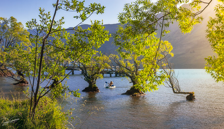 Canoeing in between golden lit trees at Glenorchy Wharf