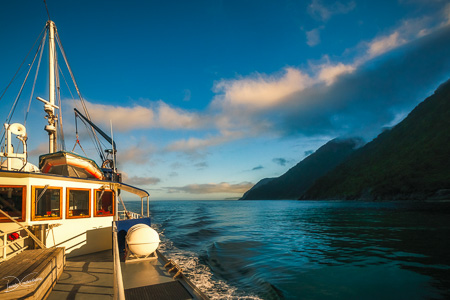 Beautiful morning light on a cruise at Milford Sound